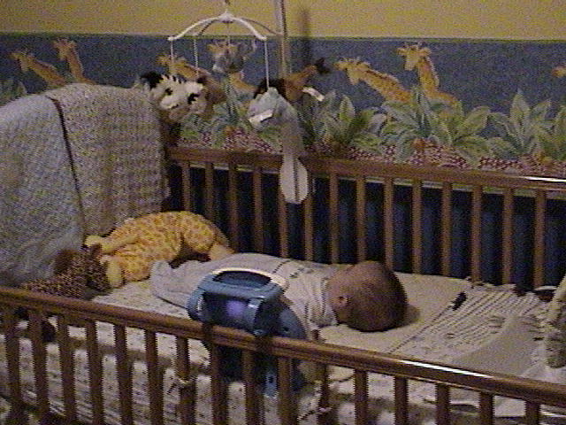 Brandon in his crib.