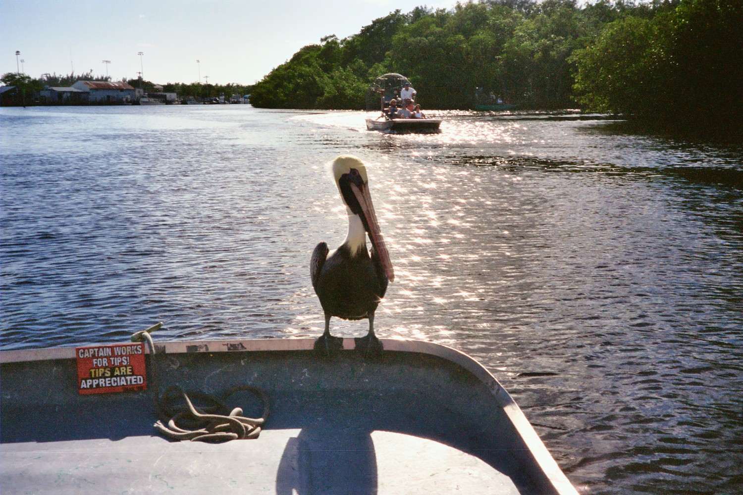 Who invited him to join us on the airboat?