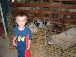 the children's barn at the fair