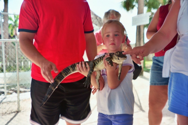 Kayla and the baby alligator