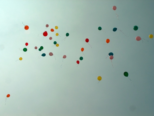 HPIM1969_001.jpg