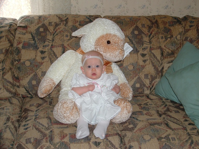 Ellie and a big lamb