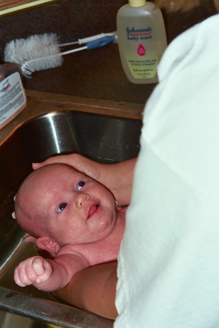 Bath time in the sink