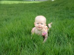 This grass is a little tall...