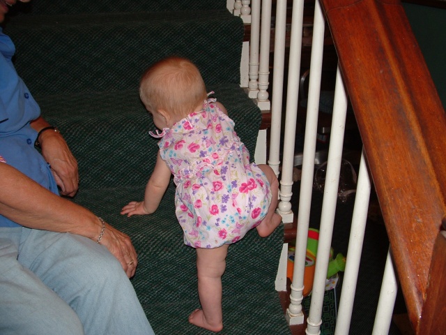 Ellie's first time climbing the stairs by herself