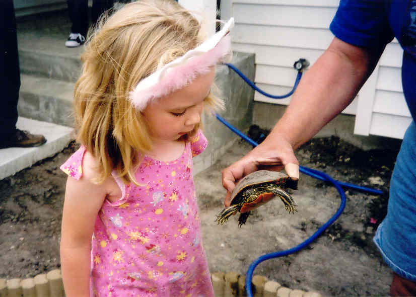 Kayla's not afraid of a little turtle.